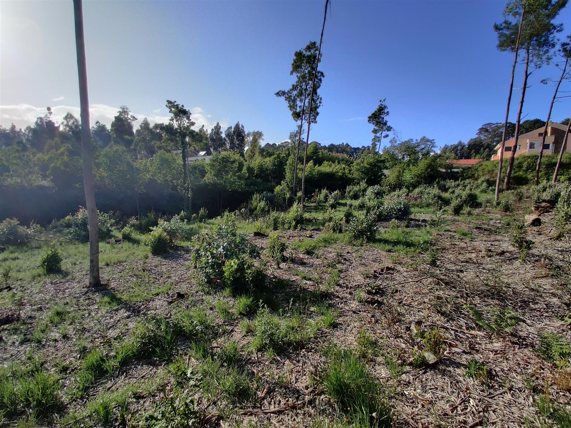 Terreno Urbanizável em Grijó