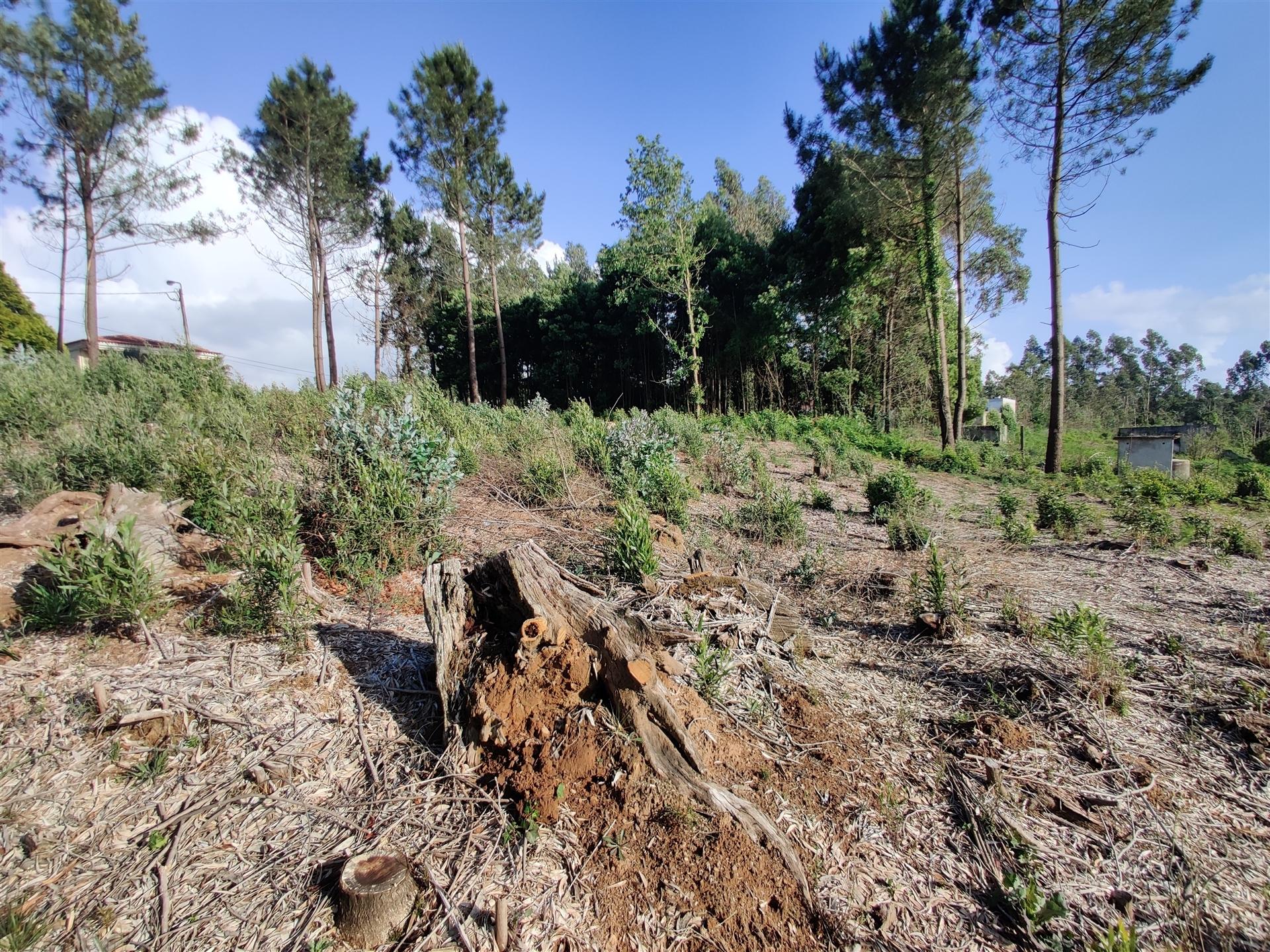 Terreno Urbanizável em Grijó