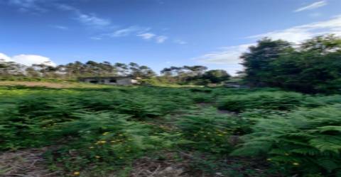 Terreno Urbanizável em Grijó