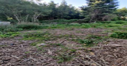 Terreno Urbanizável em Grijó