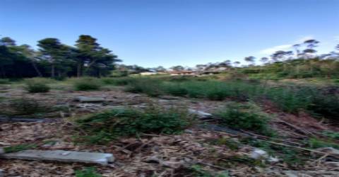 Terreno Urbanizável em Grijó