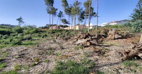 Terreno Urbanizável em Grijó