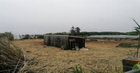 Terreno junto à Praia