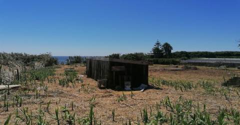 Terreno junto à Praia