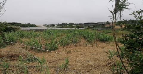 Terreno junto à Praia