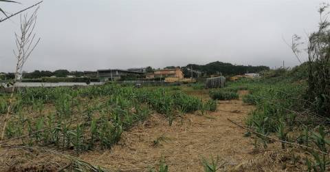 Terreno junto à Praia