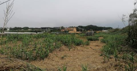 Terreno junto à Praia