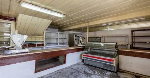 Moradia para Restaurar em Grijó com lojas para comércio, anexos, garagem fechada, terraço e jardim