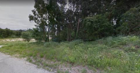 2 Lotes de Terrenos a venda na Madalena!