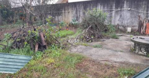 Terreno com Pinhal em Crestuma