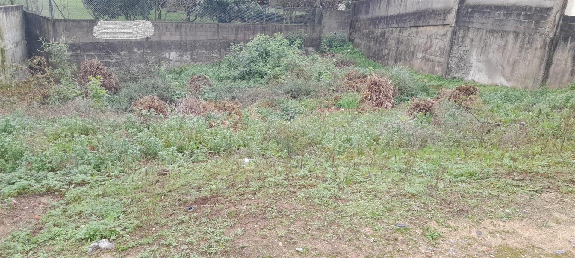 Terreno Para Construção de Moradia no Centro de Canelas.