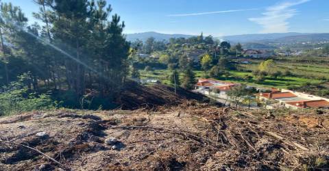 Terreno para Construção de  Moradias, Chapa - Amarante