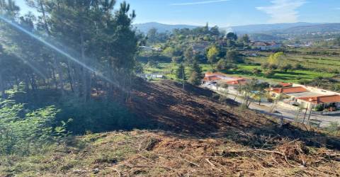 Terreno para Construção de  Moradias, Chapa - Amarante