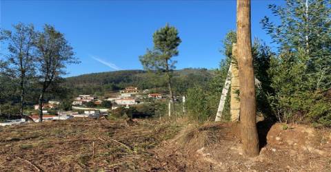 Terreno para Construção de  Moradias, Chapa - Amarante