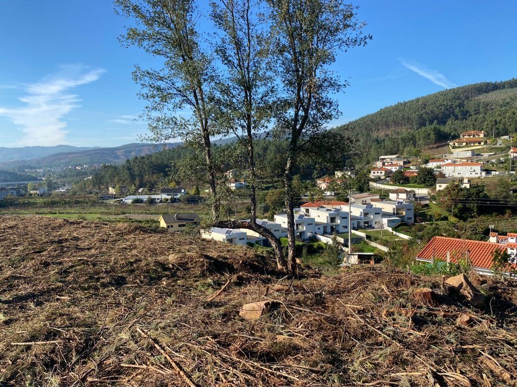 Terreno para Construção de 12 Moradias, Chapa - Amarante