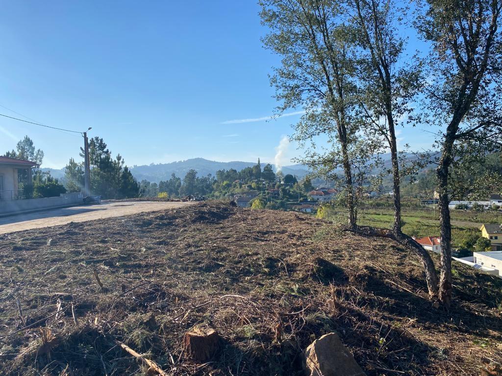 Terreno para Construção de 12 Moradias, Chapa - Amarante