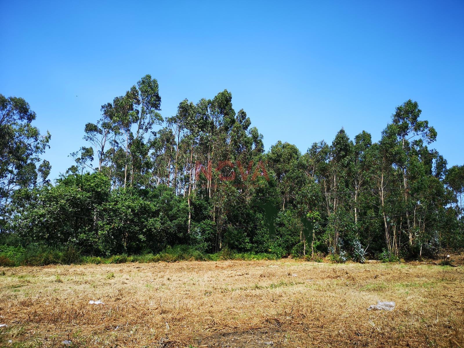 Terreno Urbano com 3350 m2 para construção de moradia. Póvoa de Varzim &#124; Nova imobiliária