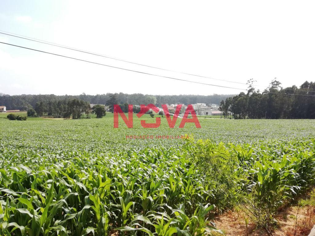 Terreno Urbano  Venda em Laundos,Póvoa de Varzim