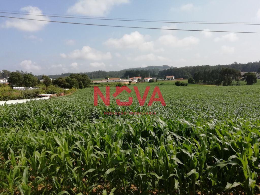 Terreno Urbano  Venda em Laundos,Póvoa de Varzim