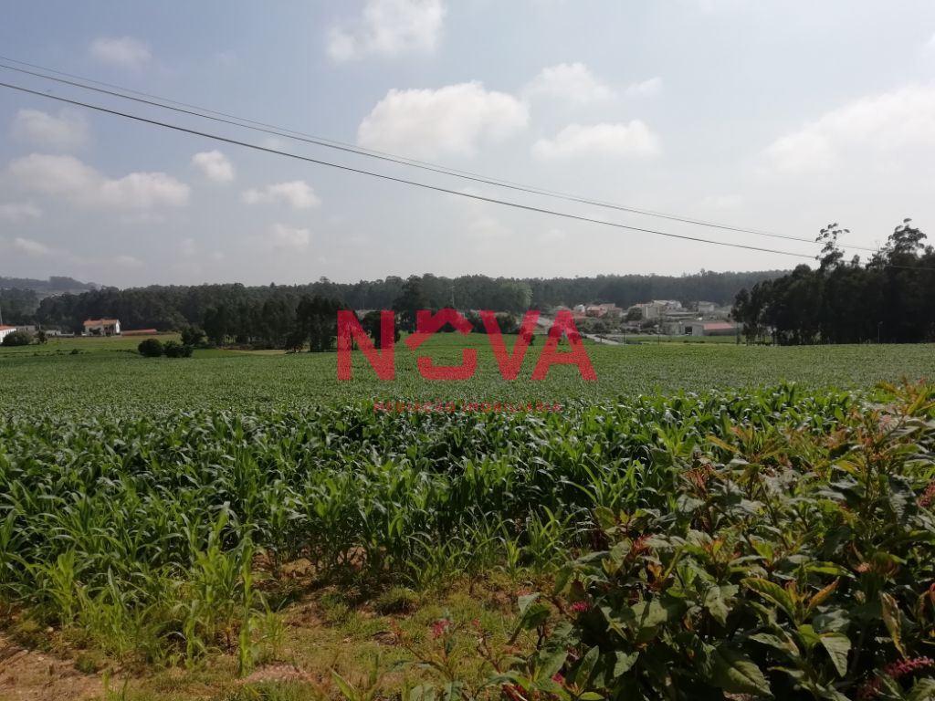 Terreno Urbano  Venda em Laundos,Póvoa de Varzim