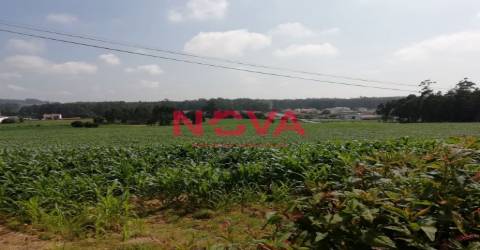 Terreno Urbano  Venda em Laundos,Póvoa de Varzim