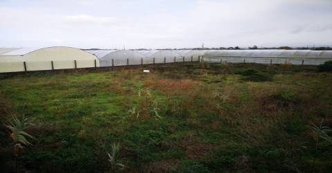 Terreno rustico na Estela &#124; NOVA Imobiliária