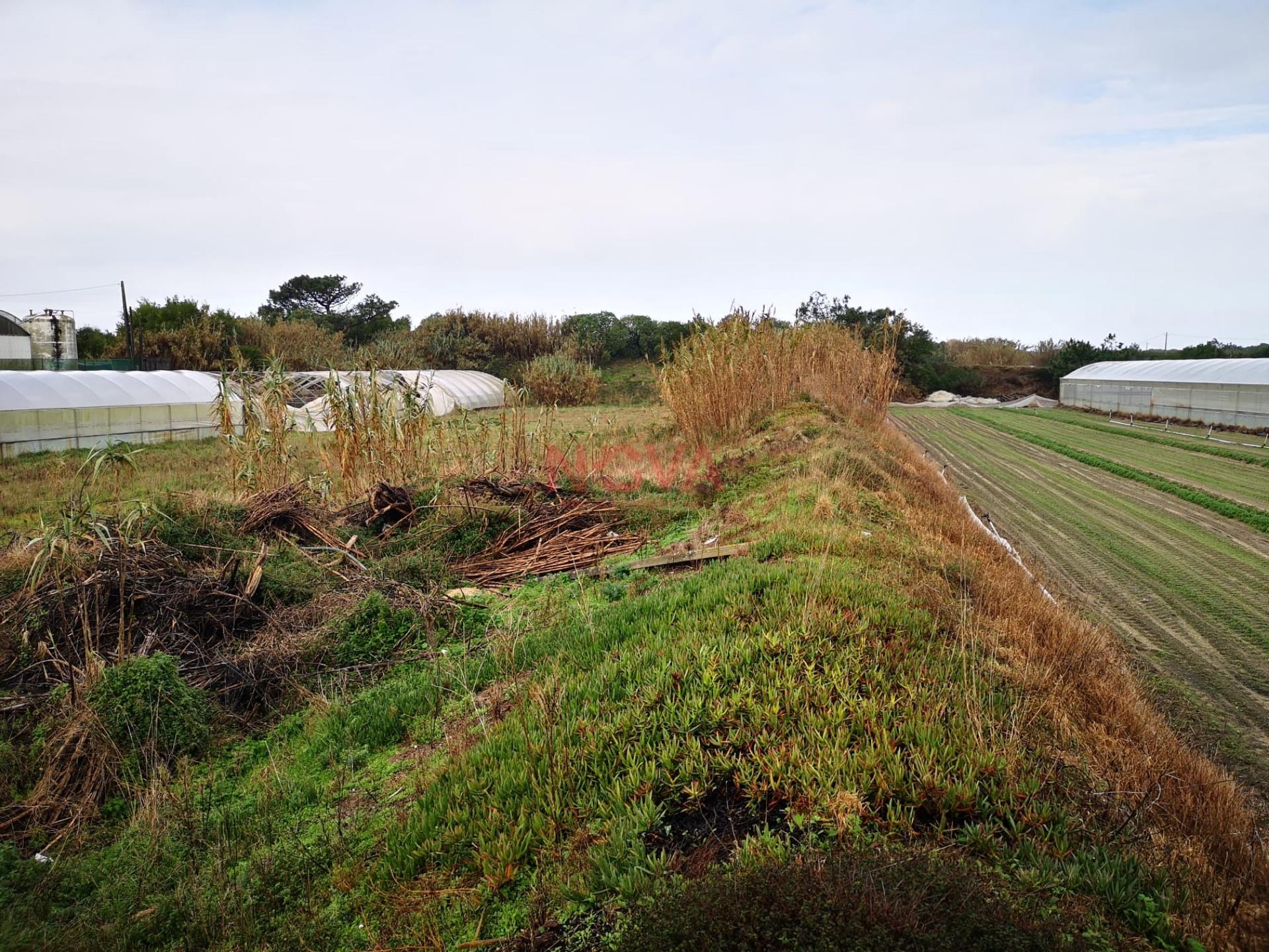 Terreno rustico Estela &#124; NOVA Imobiliária