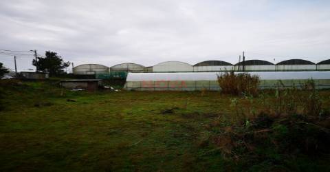 Terreno rustico Estela &#124; NOVA Imobiliária