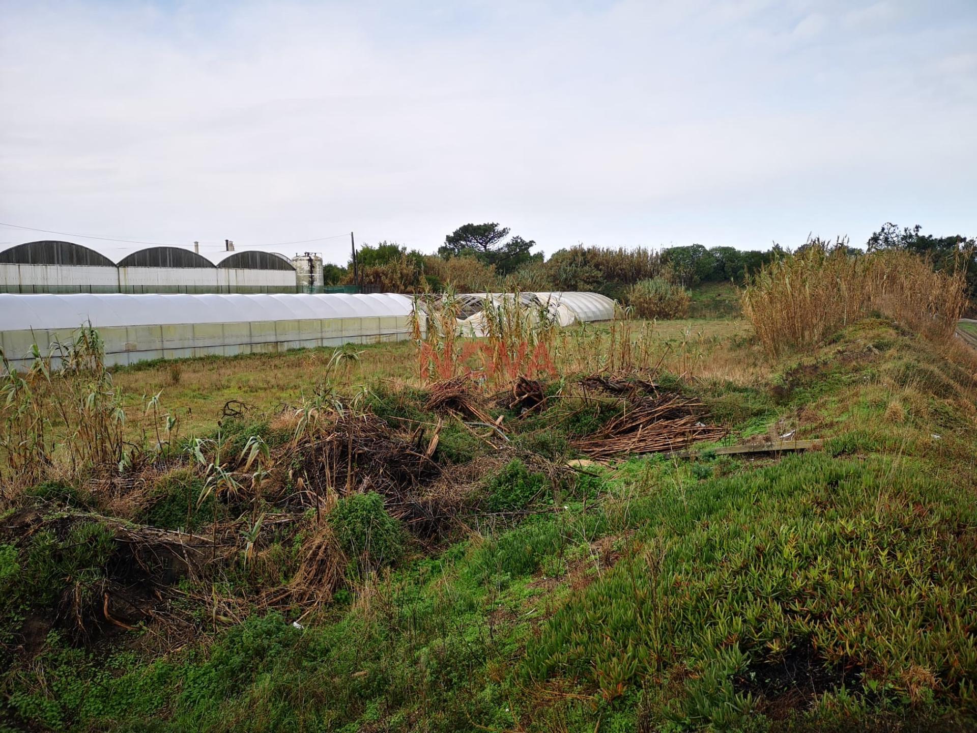 Terreno rustico Estela &#124; NOVA Imobiliária