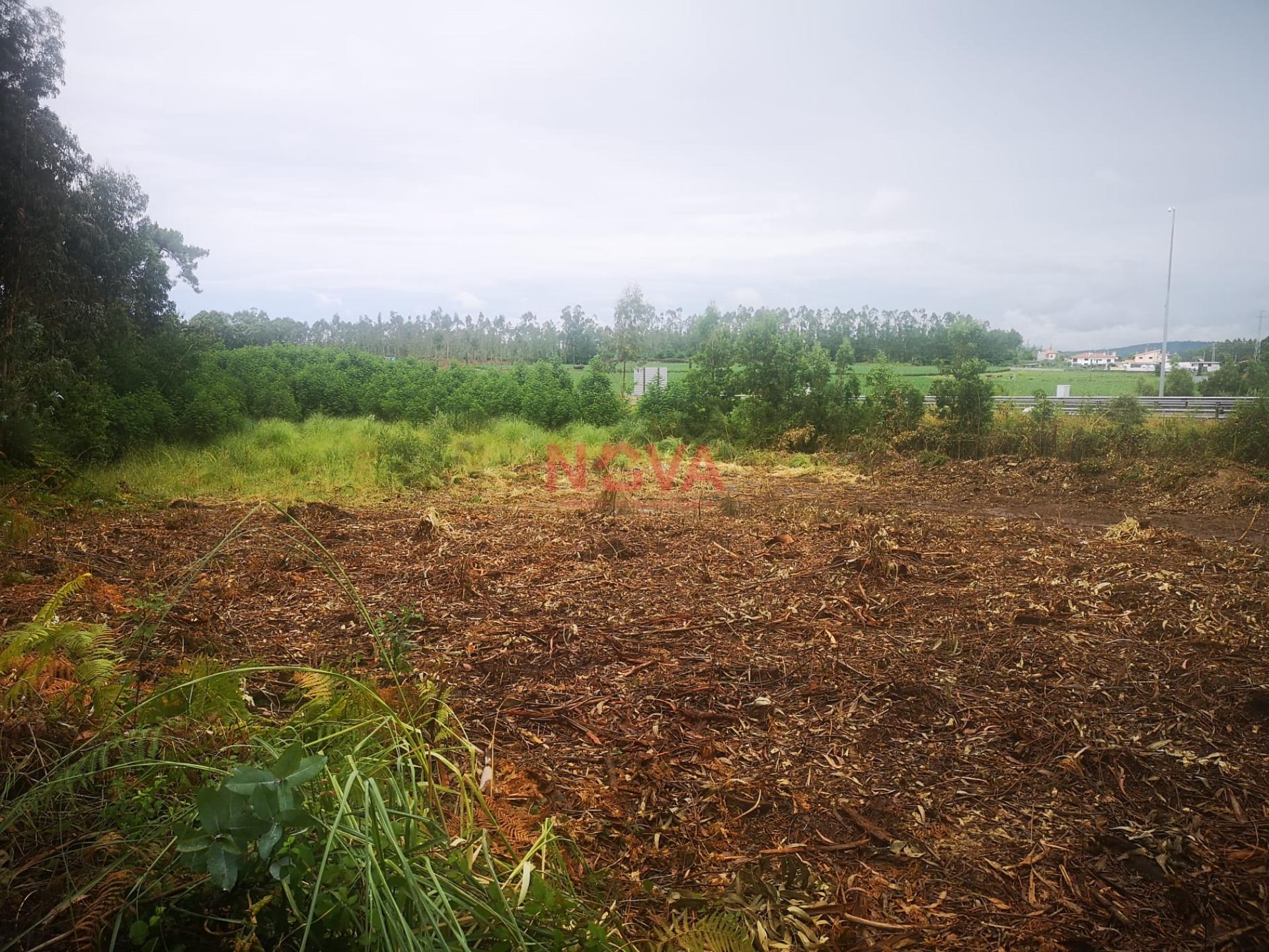 Terreno de construção com 8000 m2 de área junto A28. Vila do conde &#124; Nova Imobiliária