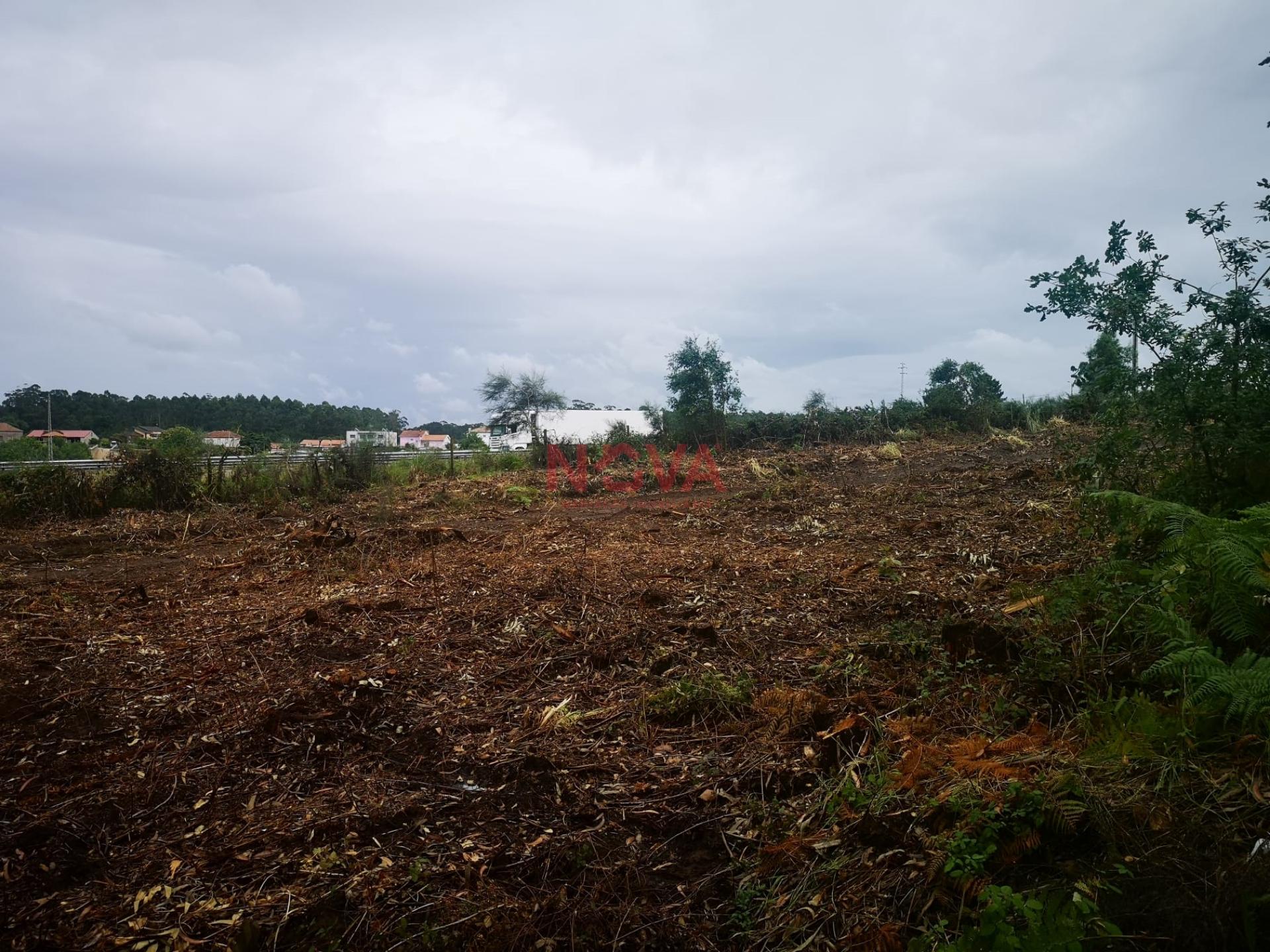 Terreno de construção com 8000 m2 de área junto A28. Vila do conde &#124; Nova Imobiliária