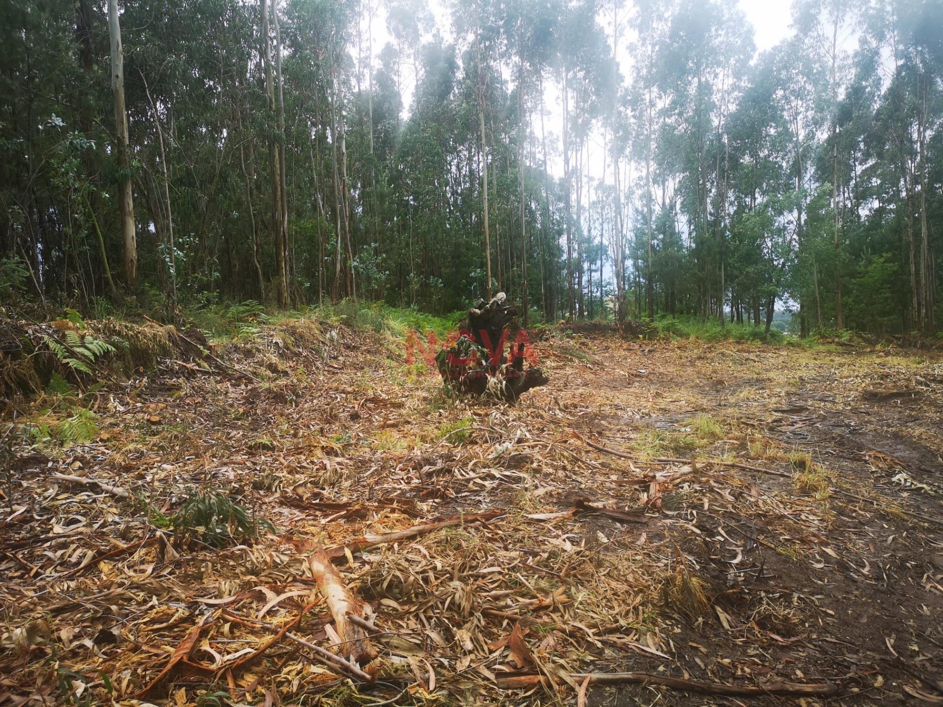 Terreno de construção com 8000 m2 de área junto A28. Vila do conde &#124; Nova Imobiliária