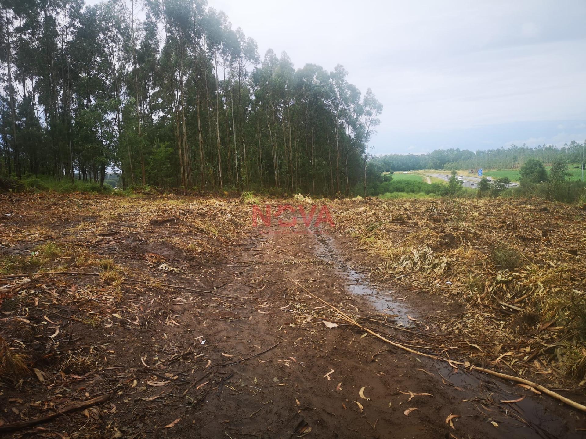 Terreno de construção com 8000 m2 de área junto A28. Vila do conde &#124; Nova Imobiliária