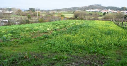 Terreno Para Construção  Venda em Alfena,Valongo