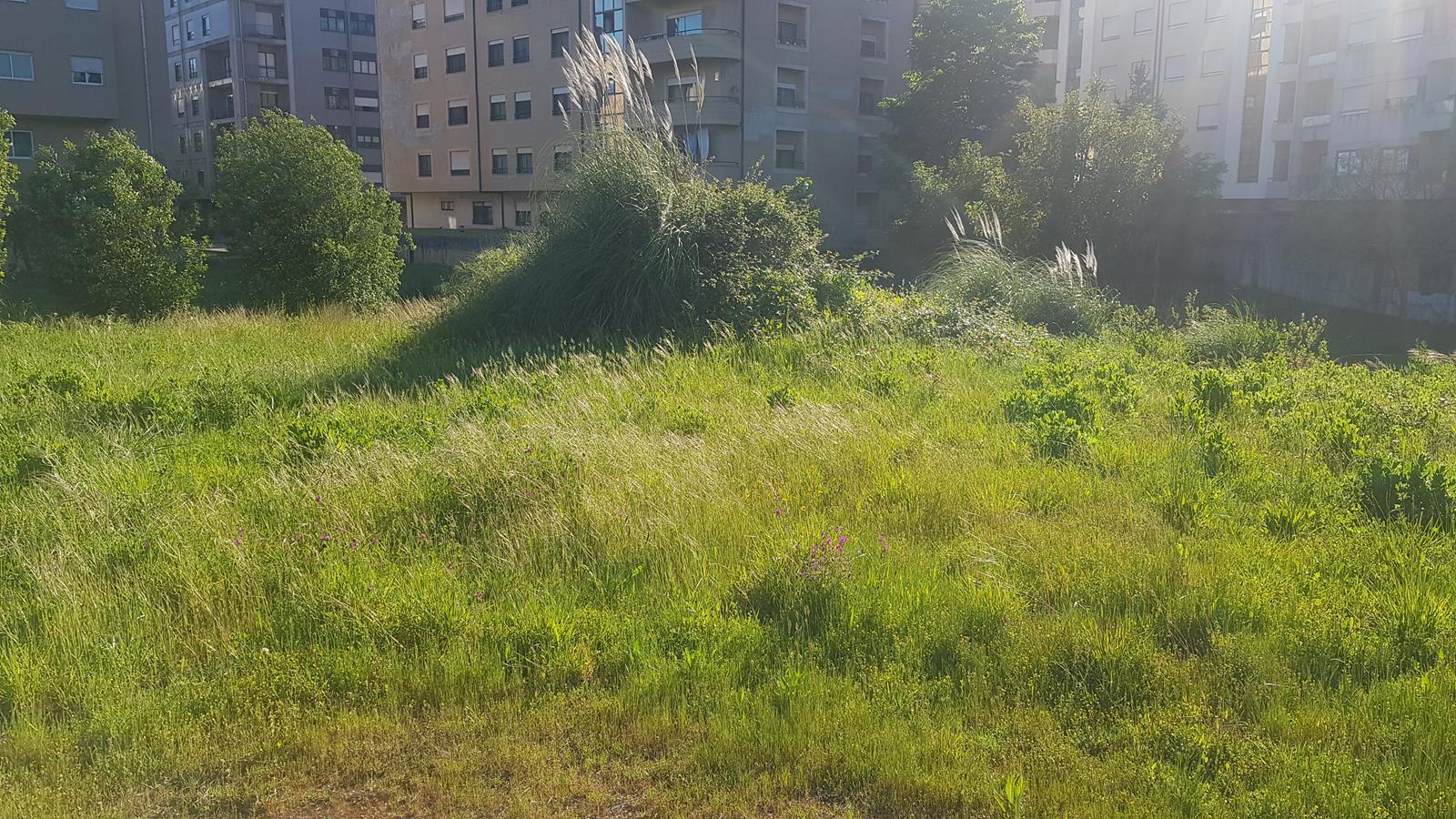 Lote de Terreno  Venda em Águas Santas,Maia