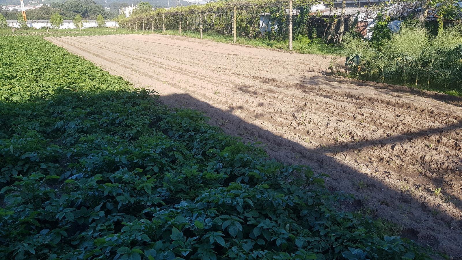 Terreno  Venda em Águas Santas,Maia