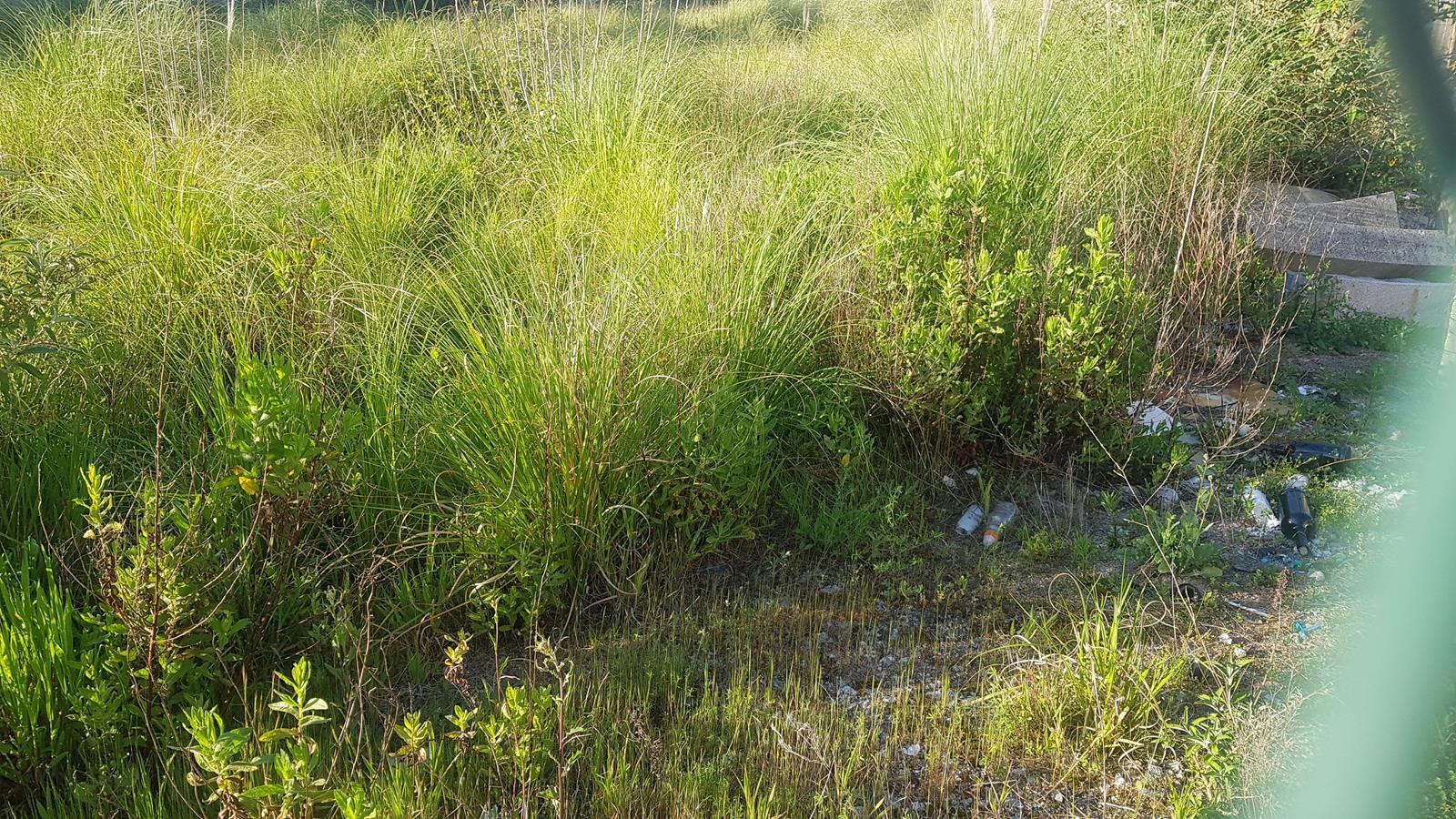 Lote de Terreno  Venda em Rio Tinto,Gondomar