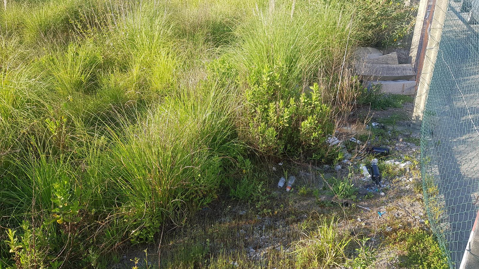 Lote de Terreno  Venda em Rio Tinto,Gondomar