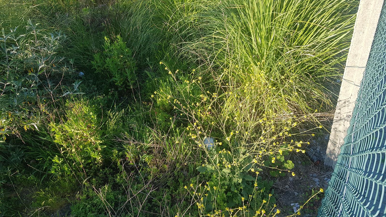 Lote de Terreno  Venda em Rio Tinto,Gondomar