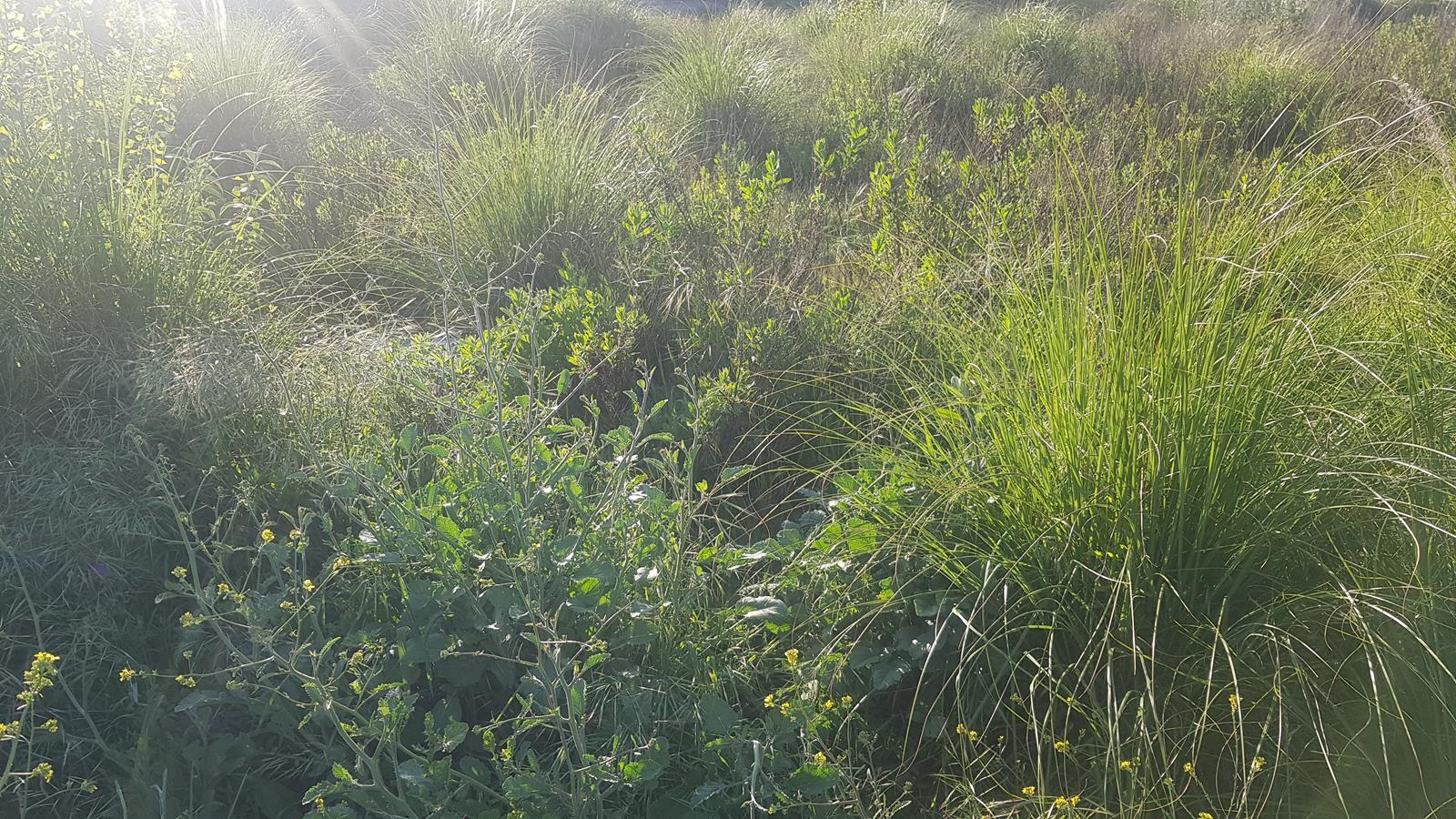 Lote de Terreno  Venda em Rio Tinto,Gondomar