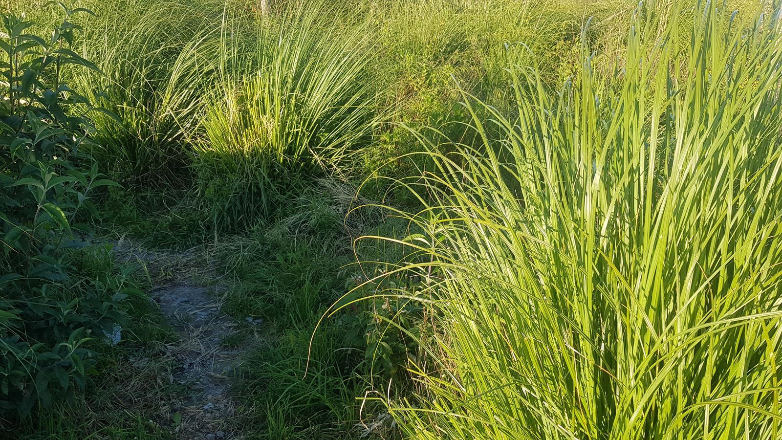 Lote de Terreno  Venda em Rio Tinto,Gondomar