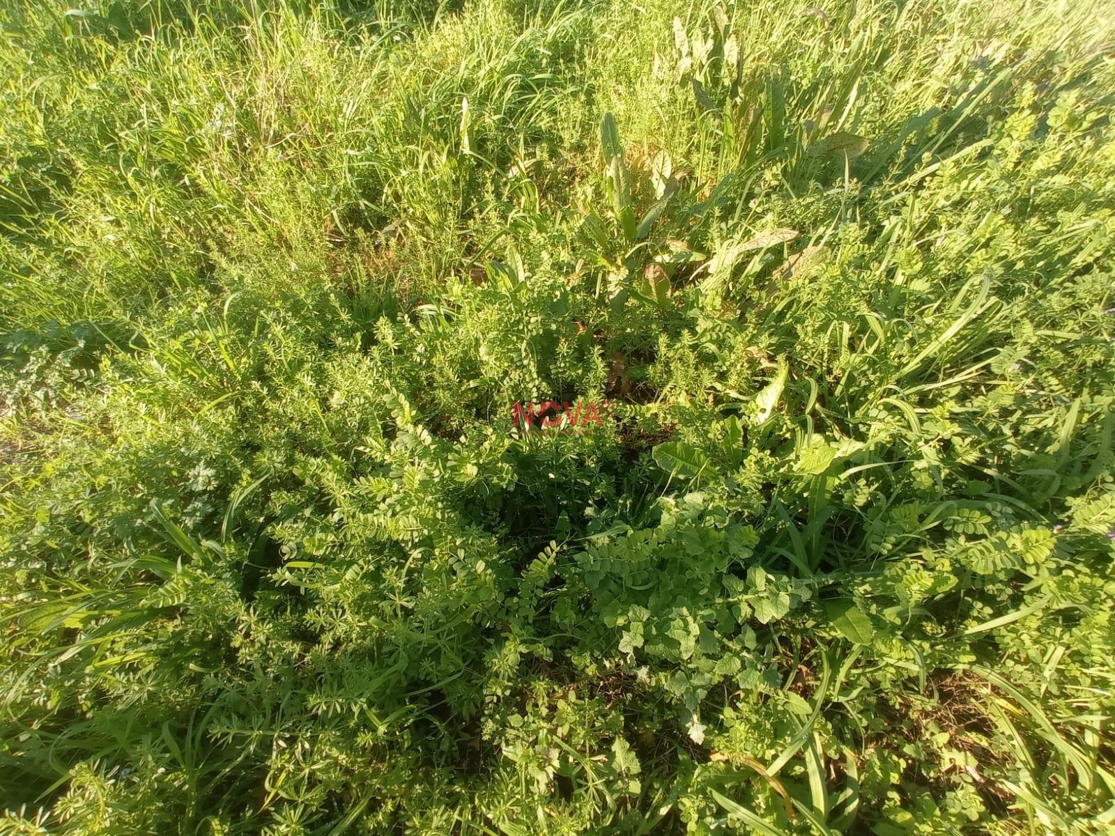 Lote de Terreno  Venda em Campo e Sobrado,Valongo