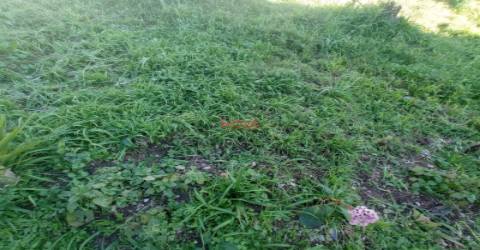 Lote de Terreno  Venda em Campo e Sobrado,Valongo