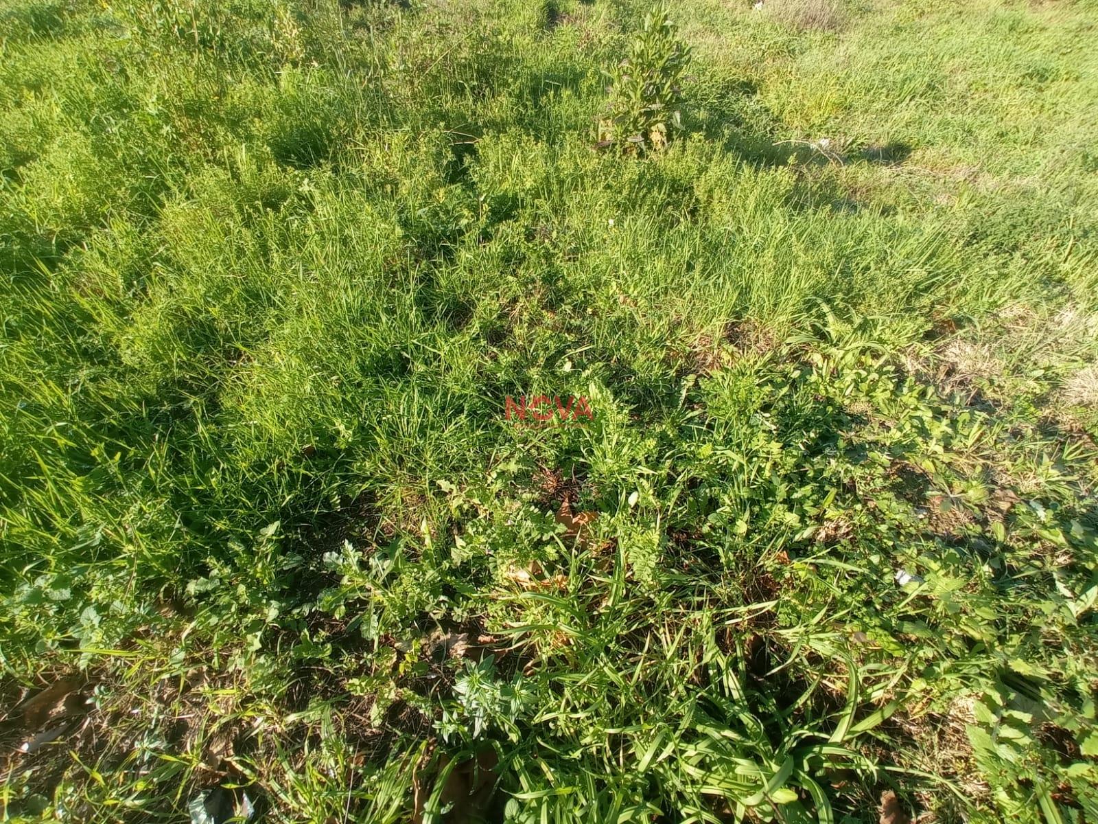 Lote de Terreno  Venda em Campo e Sobrado,Valongo