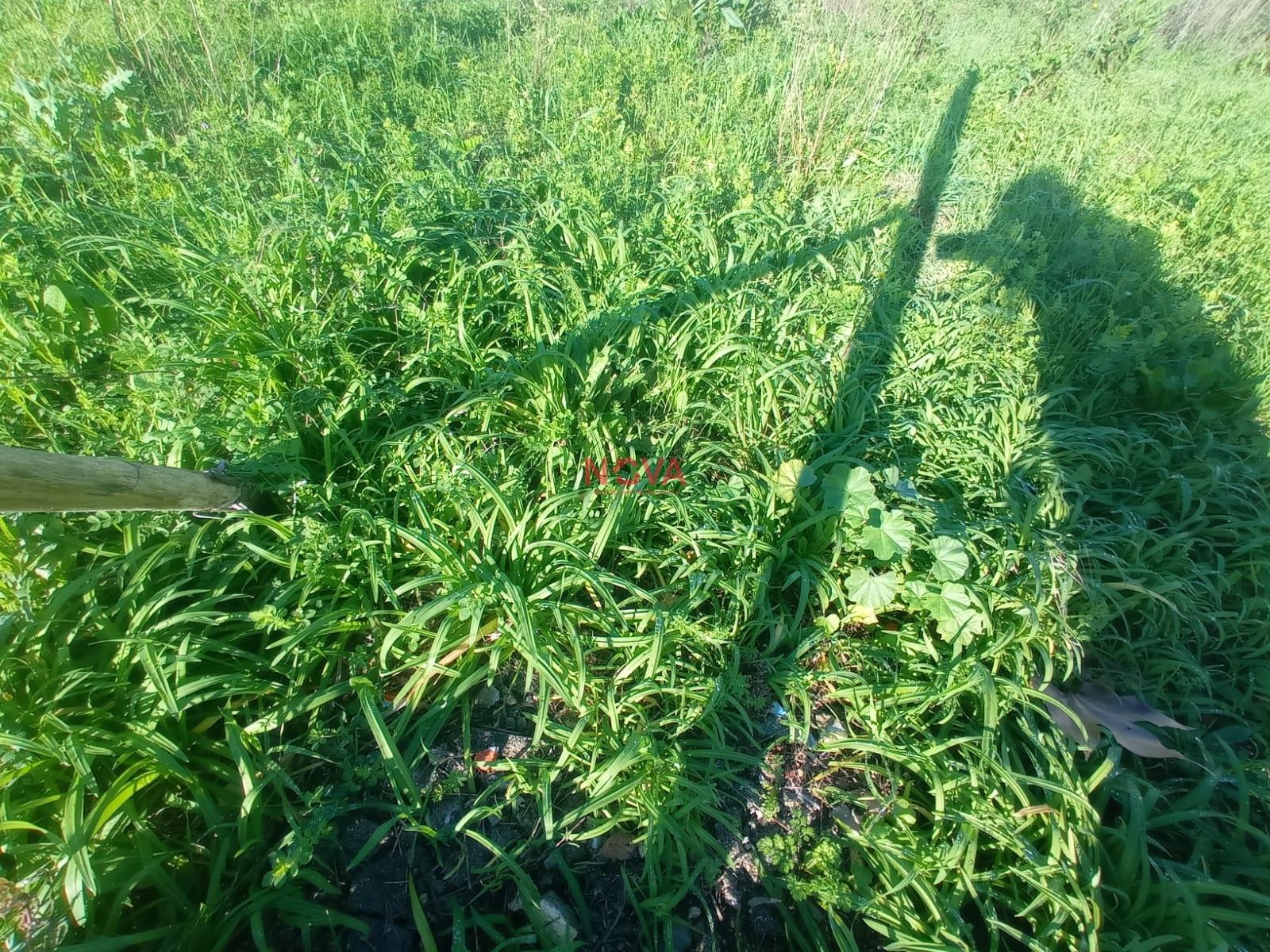 Lote de Terreno  Venda em Campo e Sobrado,Valongo