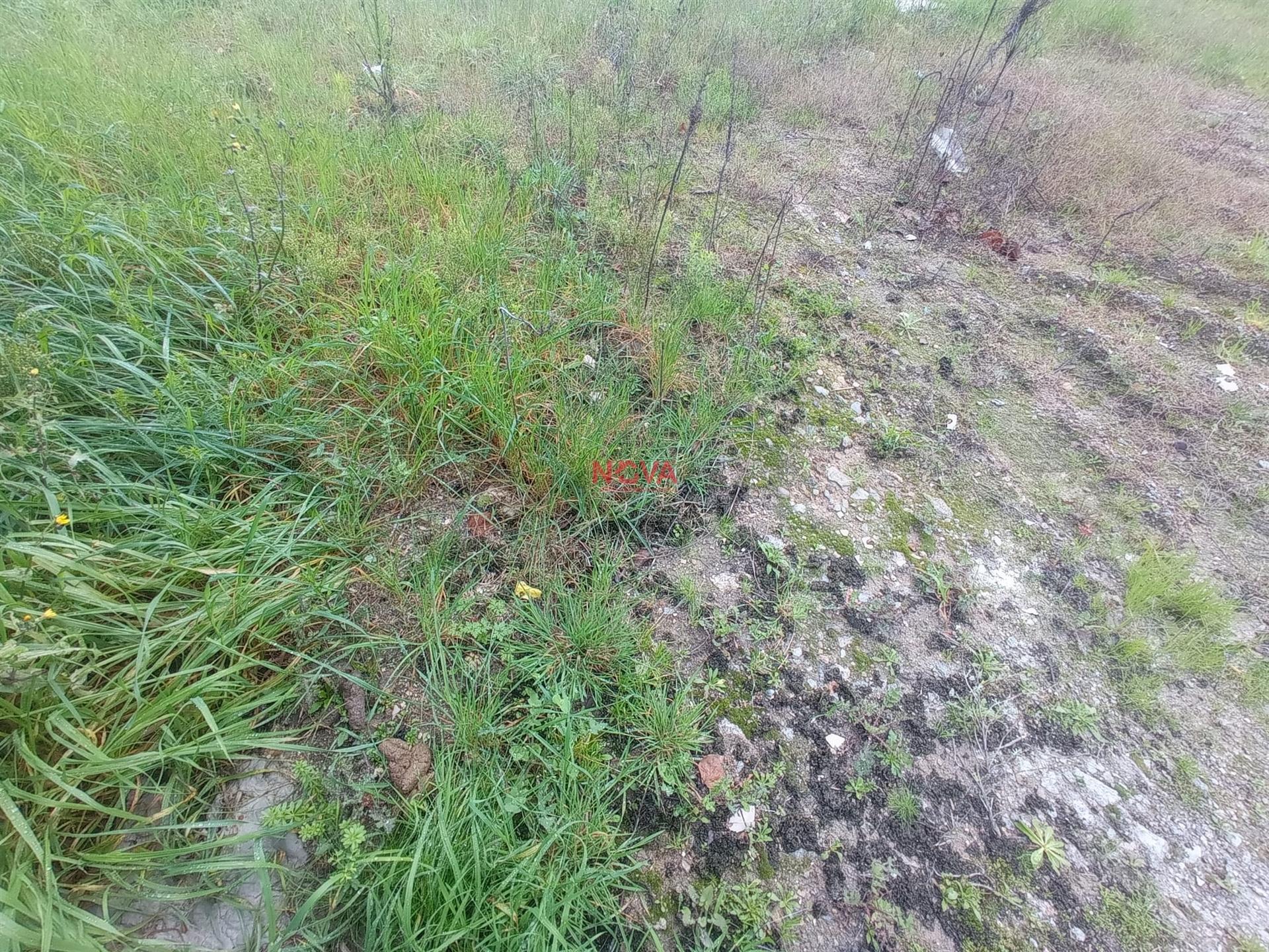 Lote de Terreno  Venda em Campo e Sobrado,Valongo