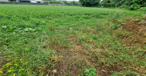 Terreno Misto  Venda em Castêlo da Maia,Maia