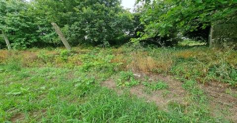 Terreno Misto  Venda em Castêlo da Maia,Maia