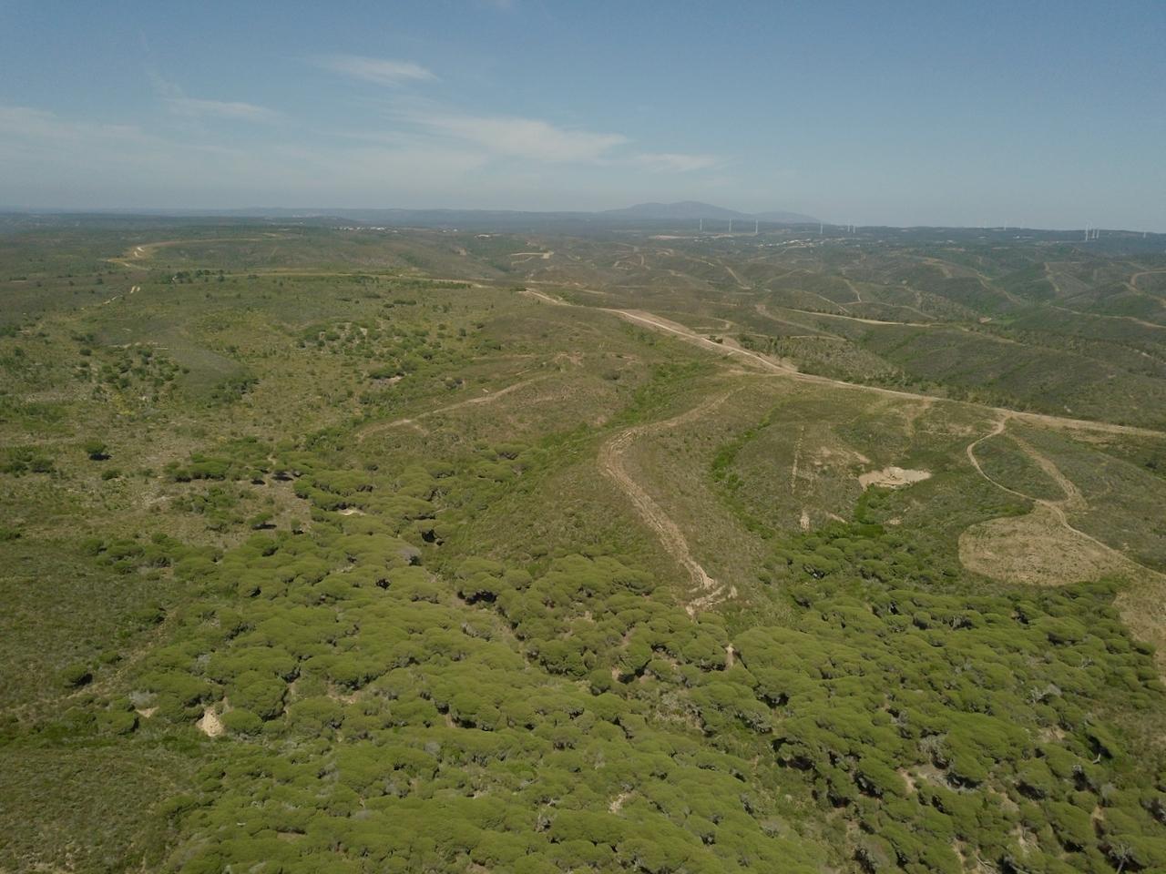 Herdade única no Parque Natural da Costa Vicentina