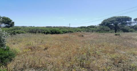 Quinta perto do mar em Lagoa
